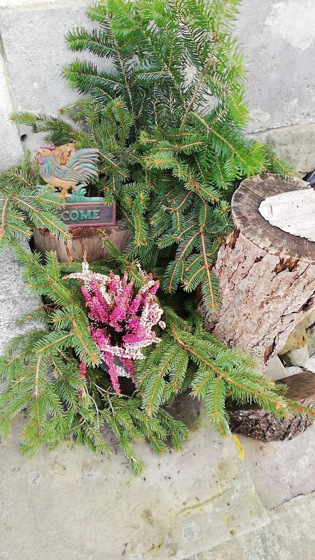Lichtenhainer Hof Lichtenhain  Екстериор снимка